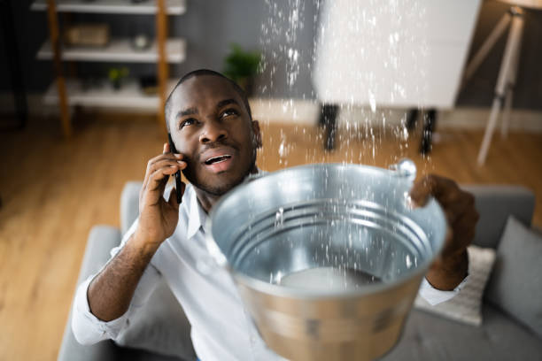 Best 24-hour water damage restoration  in Fayette, IA