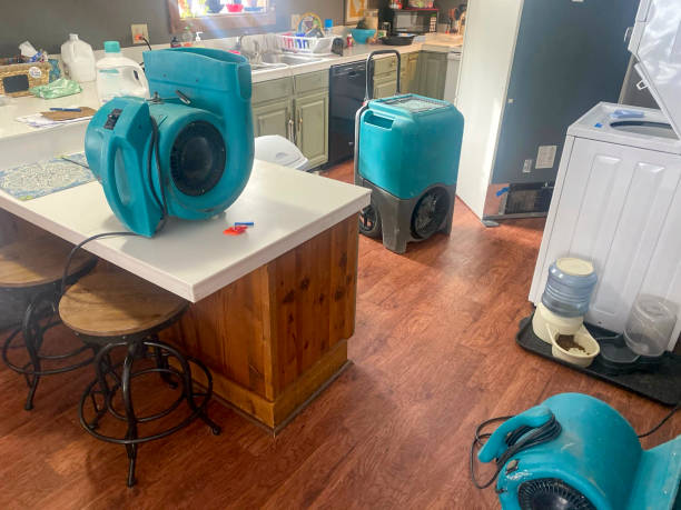 Best Water damage cleanup near me  in Fayette, IA