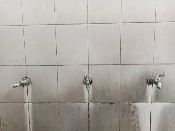 Best Water damage restoration experts  in Fayette, IA