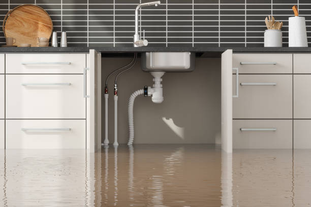 Best Water damage restoration near me  in Fayette, IA